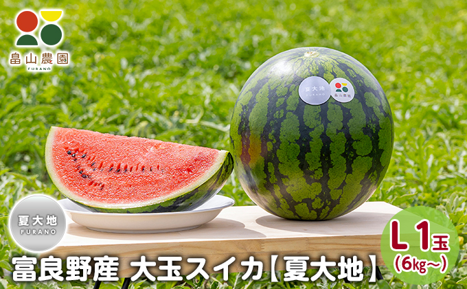 厳選大玉スイカ 約7〜9kg 1玉 2L〜3Lサイズ 贈答規格 千葉県産 大玉〜特大サイズ 優品〜秀品 国内屈指の産地が誇る旬の味！割れて届いた時の返品交換対応有り スイカ 県知事賞受賞 千葉県富里産 富里スイカ 大玉 2Lサイズ7〜8kg 1玉 産地直送 送料無料 御中元 父の日果物