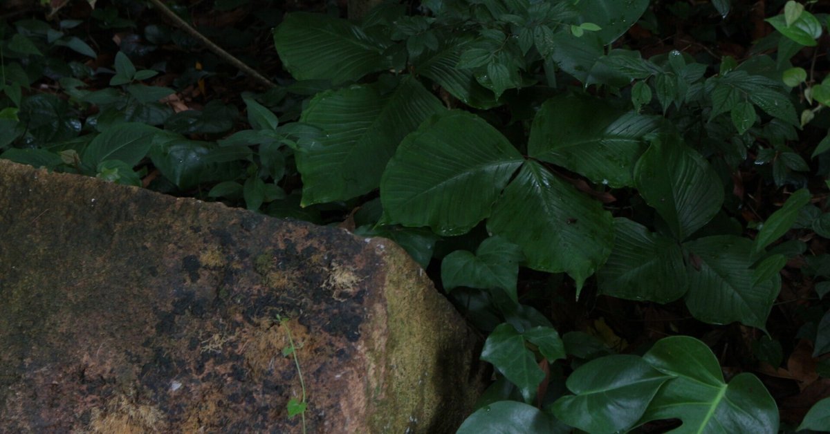 突破ファイルの魅力と出演者紹介