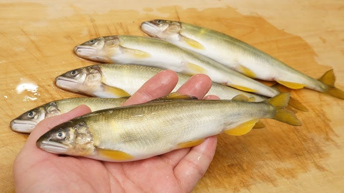 フライパンで簡単！「鮎の塩焼き」の作り方と下ごしらえ方法