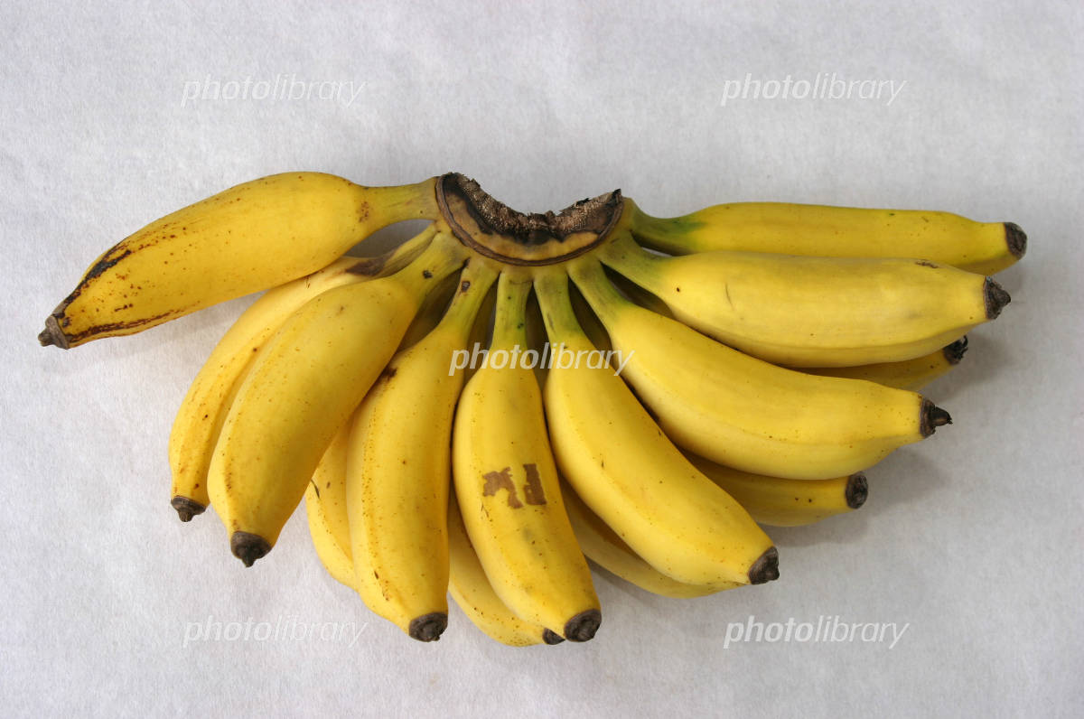 バナナの木 · 無料の写真素材