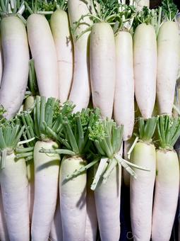 大根その他 ＜野菜オタク＞ 野菜辞典 vol.3 フードメッセンジャー：藤田 久美子 食オタMAGAZINE -食のオタクによる食のオタクのためのマガジン 食オタマガジン