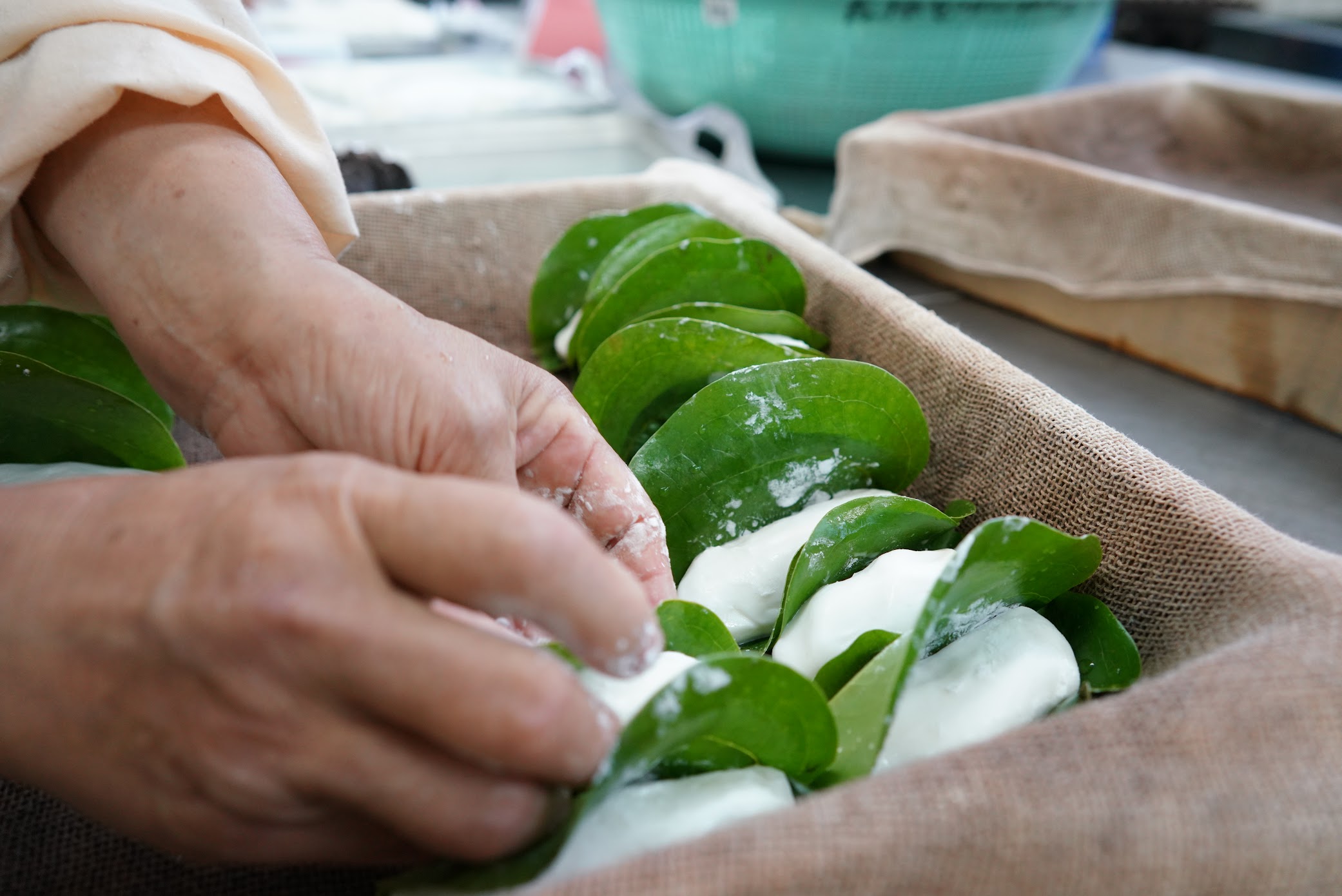 柏餅ってなぜ葉っぱで包まれているの？その理由やレシピ紹介デリッシュキッチン