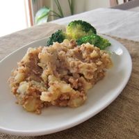 100g レシピ「めんつゆでカンタン鶏ひき肉の肉じゃが」を公開株式会社ニュー・クイック