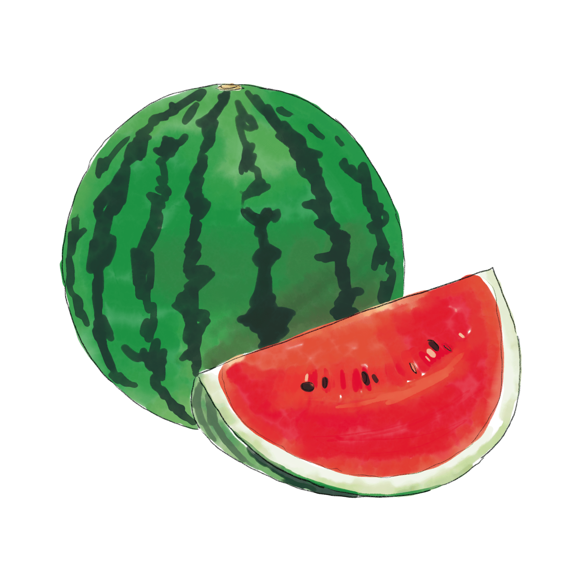 Imagens de すいか – Explore Fotografias do Stock, Vetores e Vídeos de 12,704Adobe Stock