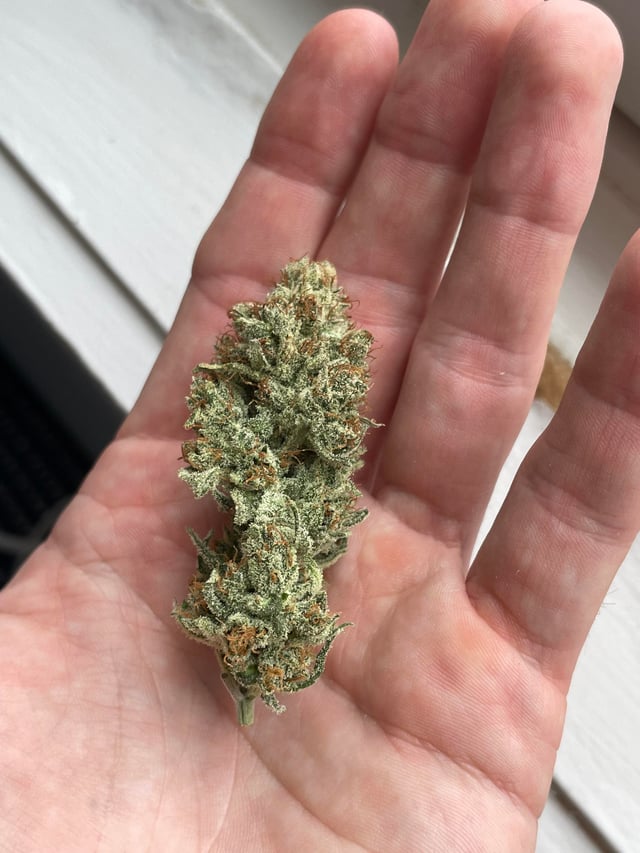 レモンスカンクを購入 – THC 留出物 – Green Meds EU