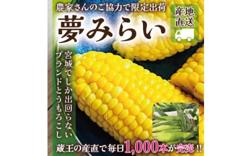 野菜の種 種子 Sweets 恵味ゴールド とうもろこし 約200粒メール便発送: ベジタブルガーデン ハラダ - 通販 -Yahoo!ショッピング