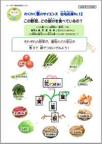 食べられる庭図鑑21 アスパラガス