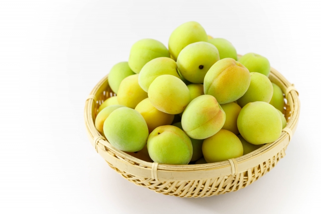 備長炭梅酒 720ml 13度和歌山 田辺市 紀州南高梅 南高梅