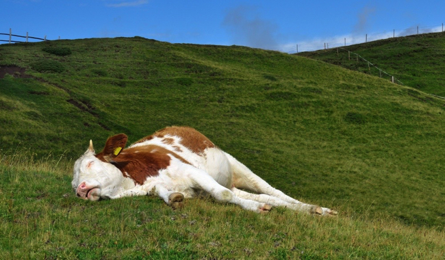 食後やご飯食べると気持ち悪くなるのはなぜ？違和感・吐き気の原因と考えられる病気治験モニター・治験バイト募集ならJCVN