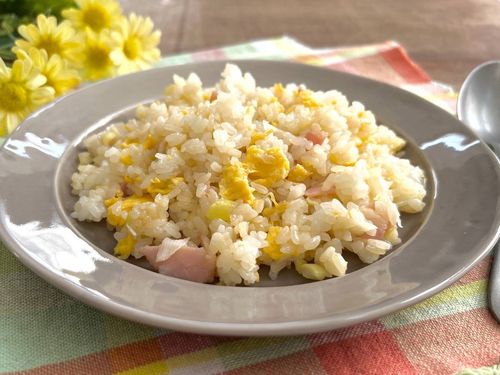 炒飯カマダレシピ鎌田醤油 かまだしょうゆ 公式通販サイト