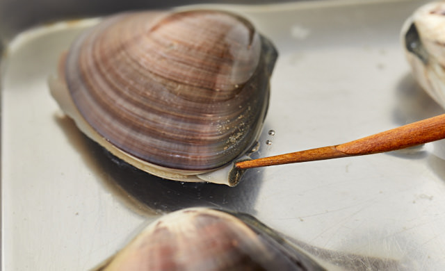 ハマグリは冷凍保存がベスト！美味しく食べられる解凍方法や保存期間まで – シュフーズ