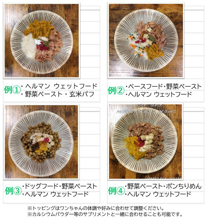 ドッグフード トッピングの疑問を解決愛犬のためのホリスティック食材事典発売記念GREEN DOG & CAT グリーンドッグ &キャット 公式通販