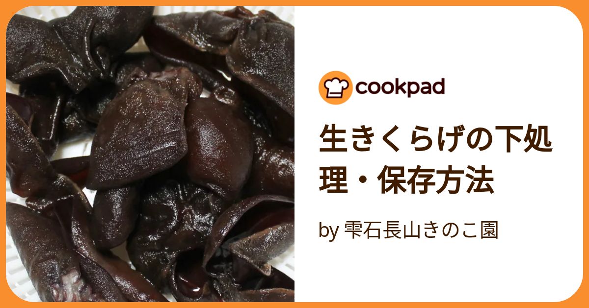純国産生きくらげ 生キクラゲ きくらげ キクラゲ あの日のはごたえ : Y-fresh Premium - 通販 - Yahoo!ショッピング