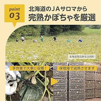 エジソンママ うまみそのままフレーク 個包装10ｇ×6袋 かぼちゃ EDISONmama ケイジェイシー – オレンジベビ