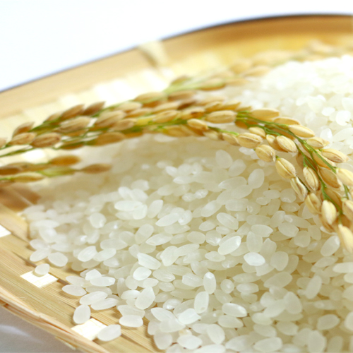 ごはんの炊き方 フライパン