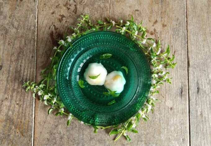 飲むドライフルーツ インフューズドウォーター専用 ドライフルーツミックス セットウォーターマグと専用 ドライフルーツミックス 3種類のセットお水や炭酸に ドライフルーツ を入れるだけ デトックスウォーター ドライフルーツ ギフト プレゼント小島屋ドライフルーツナッツ専門店