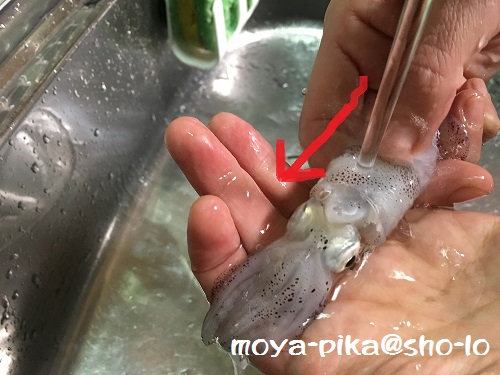 レシピ『小さいイカ・ヒイカの下処理と食べ方のコツ』ワタと皮はそのままでOK！いそがばまわれ