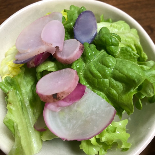 赤カブのサラダ 3つ: ぼっちオバサン食堂