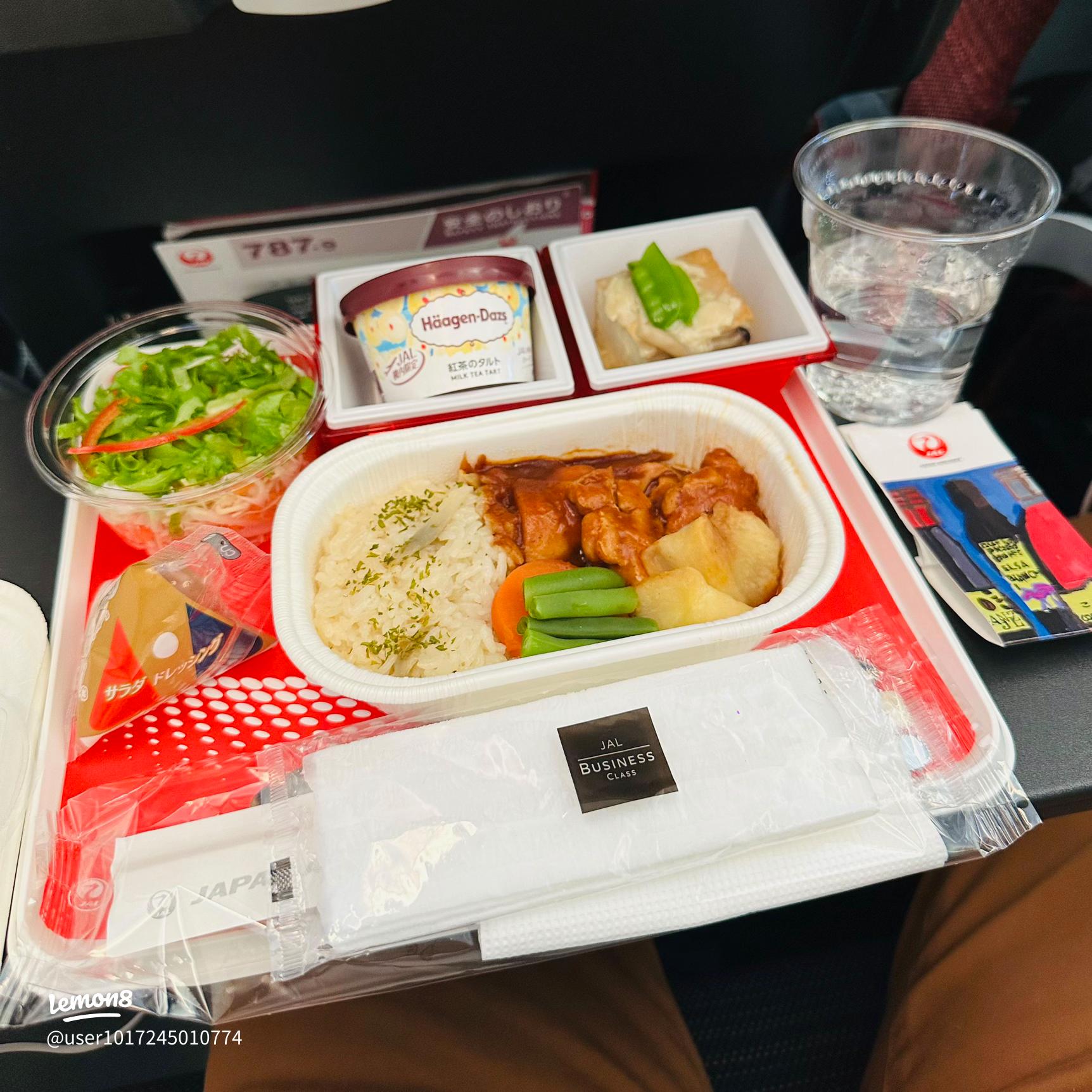 国際線の飛行機内に食べ物は持ち込みできる？スーツケースで預けるべき