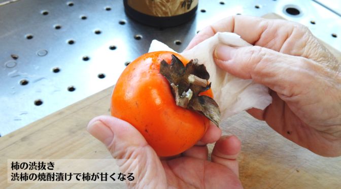 柿 １６２ ：渋柿の焼酎処理② 品種不明 徳島県産＜２＞園芸日記by団塊おやじみんなの趣味の園芸1137588