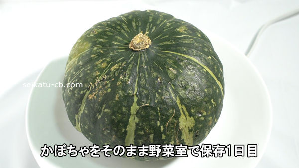 種のところに白や黒のカビ 」カビが生えてしまったかぼちゃは食べて大丈夫？管理栄養士が回答！ヨガジャーナルオンライン