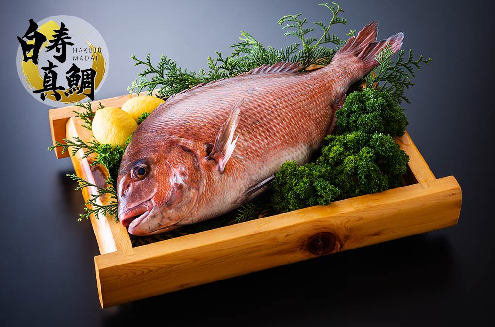 How to Cook Fish Roe - Simmered Sea Bream Roe English subtitles- YouTube