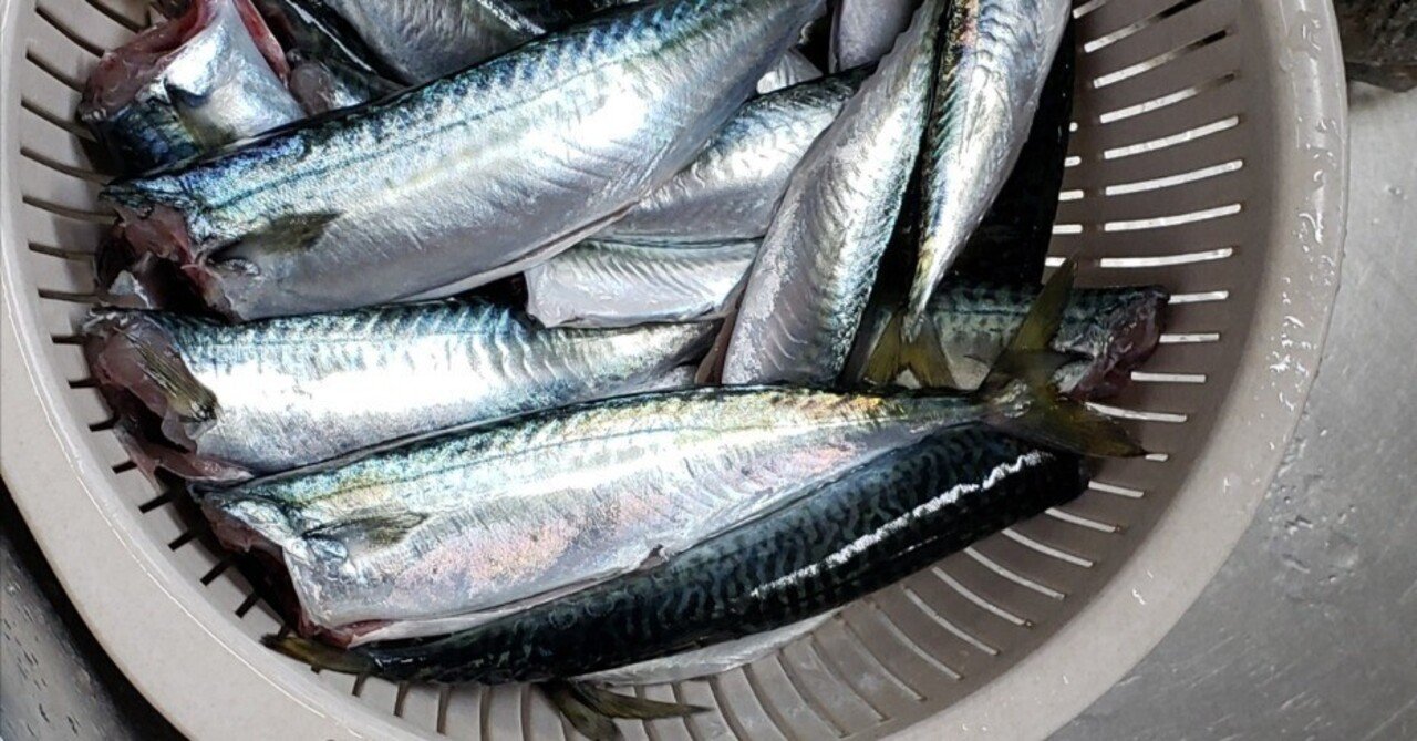 常温保存ができるサバ餌村越正海 Official Site