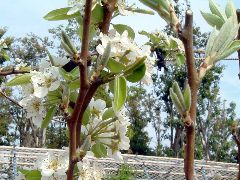 夢占い 人形の夢の意味とは？状況・種類で読み解く暗示サンキュ