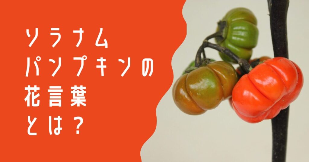 ピーマンの種類や品種パプリカとの違いは？花は咲くの？HORTI by GreenSnap