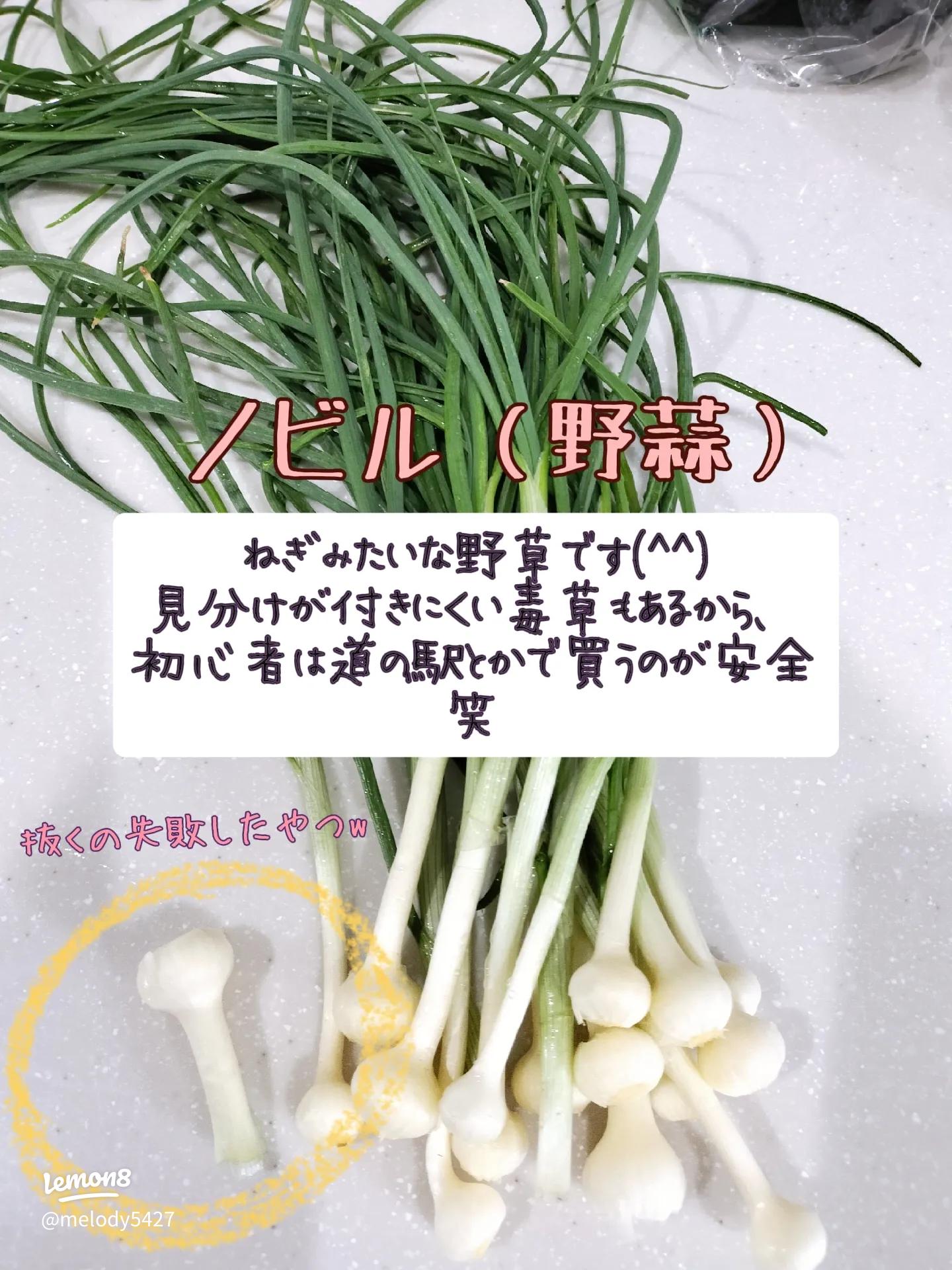 美味しいノビル♪素人料理百珍