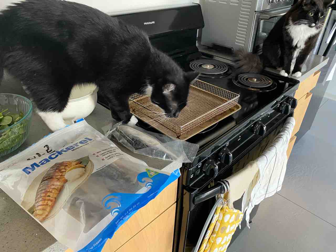 ヘルシーノンフライヤー loil ロイル167-304399公式 テレビショッピングのRopping ロッピング