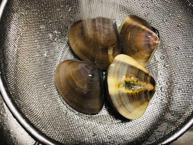 3月 蛤 はまぐりお知らせ東信水産株式会社