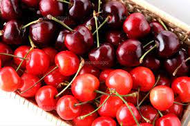 さくらんぼ アメリカンチェリー 約500g アメリカ産USA サクランボ 桜ん坊 父の日 食べ物 くだもの お中元 ギフト プレゼント 夏 :京の老舗の果物屋 鳥羽伊三 - 通販 - Yahoo!ショッピング