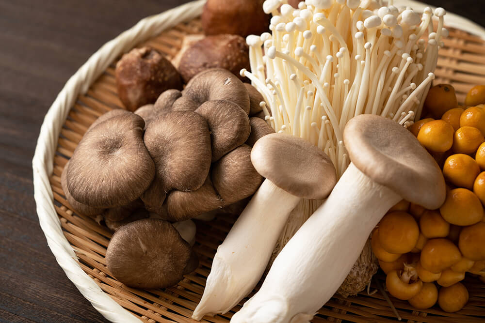 しめじは洗う？洗わない？正しい洗い方を解説 - Fily