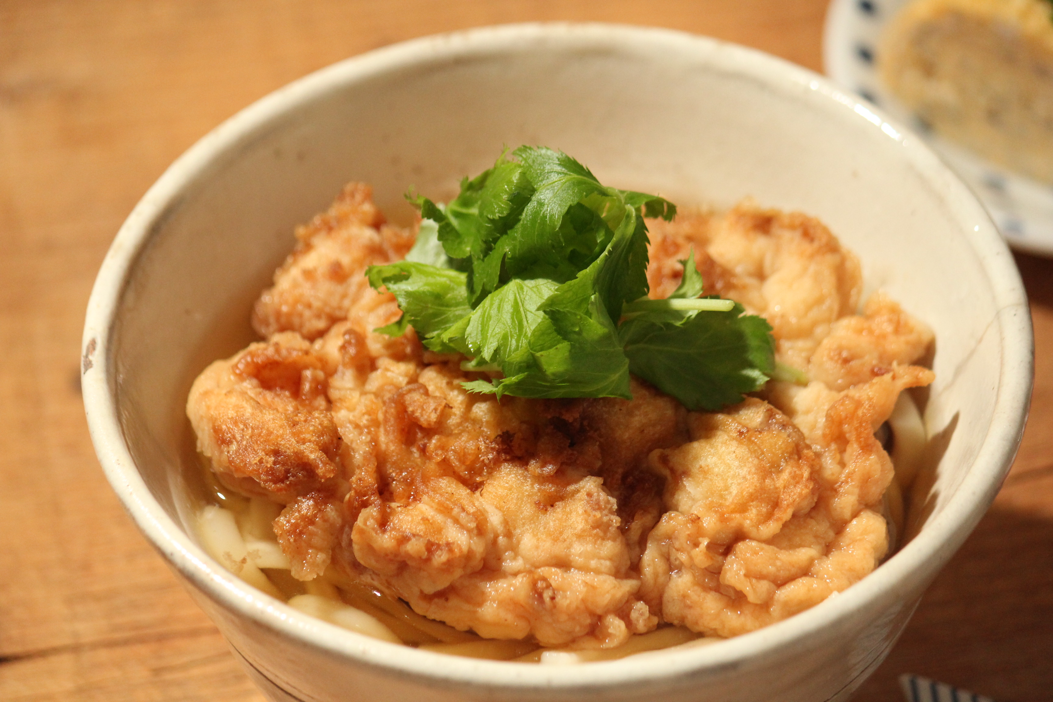 かき揚げうどん出汁の王国・鹿児島プロジェクト公式サイト