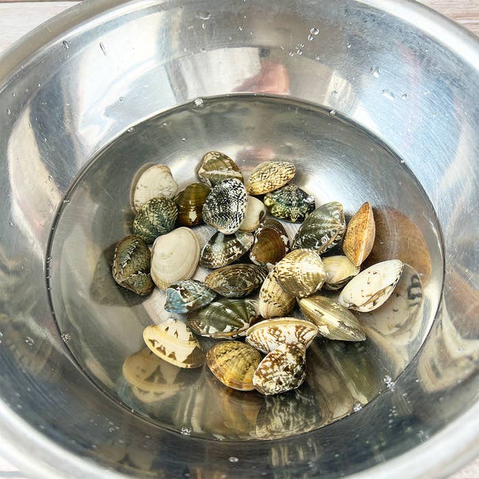 あさりを50度洗いしたけど開かない 死んだ？砂抜きできてる？潮干狩りの時短術にトライ