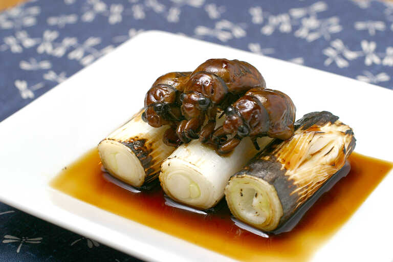 感動！ 室内で神秘的な蝉の羽化を観察してみましたハルメクハルトモ倶楽部