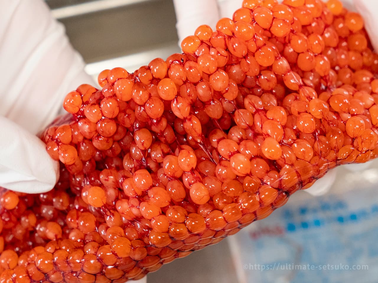 簡単にできる！ 旬の生筋子のほぐし方4選丸ごと小泉武夫 食マガジン