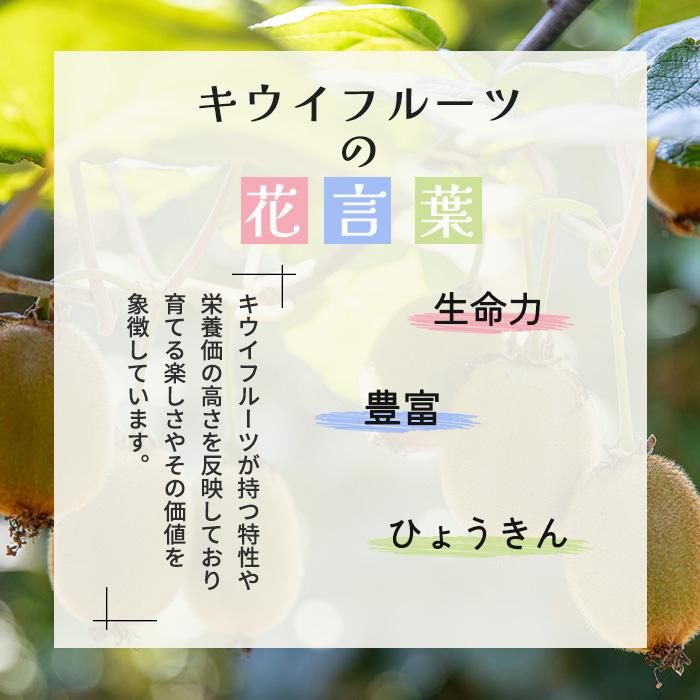 キウイフルーツの花 - やれることだけやってみる