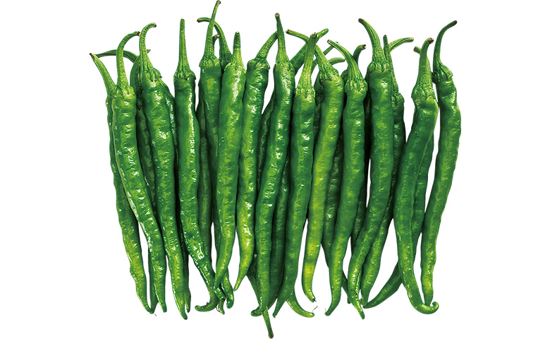 伏見甘長唐辛子 とうがらしの種固定種 固定種 在来種に強い 野菜のタネ専門通販サイトアサヒのぐるたね