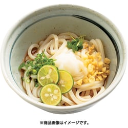 本場讃岐ぶっかけうどんのダシ