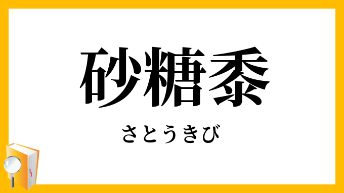 SUGAR CANE 砂糖黍製 14oz 蛇革 沖縄 W36