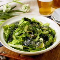 キユーピーチョレギサラダドレッシング商品情報キユーピ