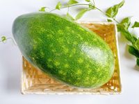 冬瓜の旬は冬じゃない！？知っておきたい旬と選び方を解説！ - トクバイニュース