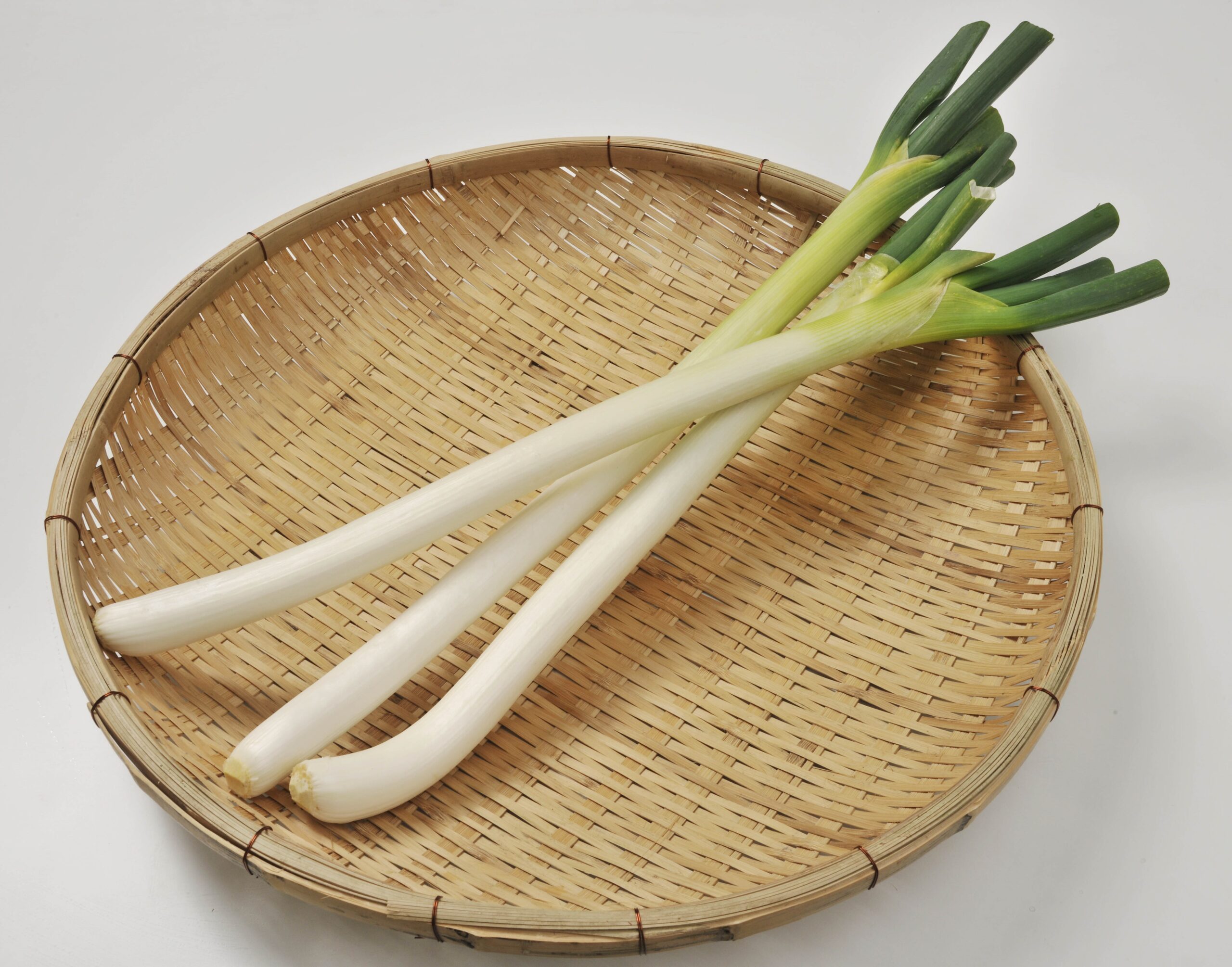 楽天市場大人気野菜 長ねぎ 5キロ 箱 30本前後入 埼玉 茨城 群馬 千葉県産 Lサイズ 白ネギ 新鮮で太い 長ネギ 関東地区産地 国産飲食店業務用長葱 ご家庭用にも 新鮮野菜 : えびねの多菜生活楽天市場店