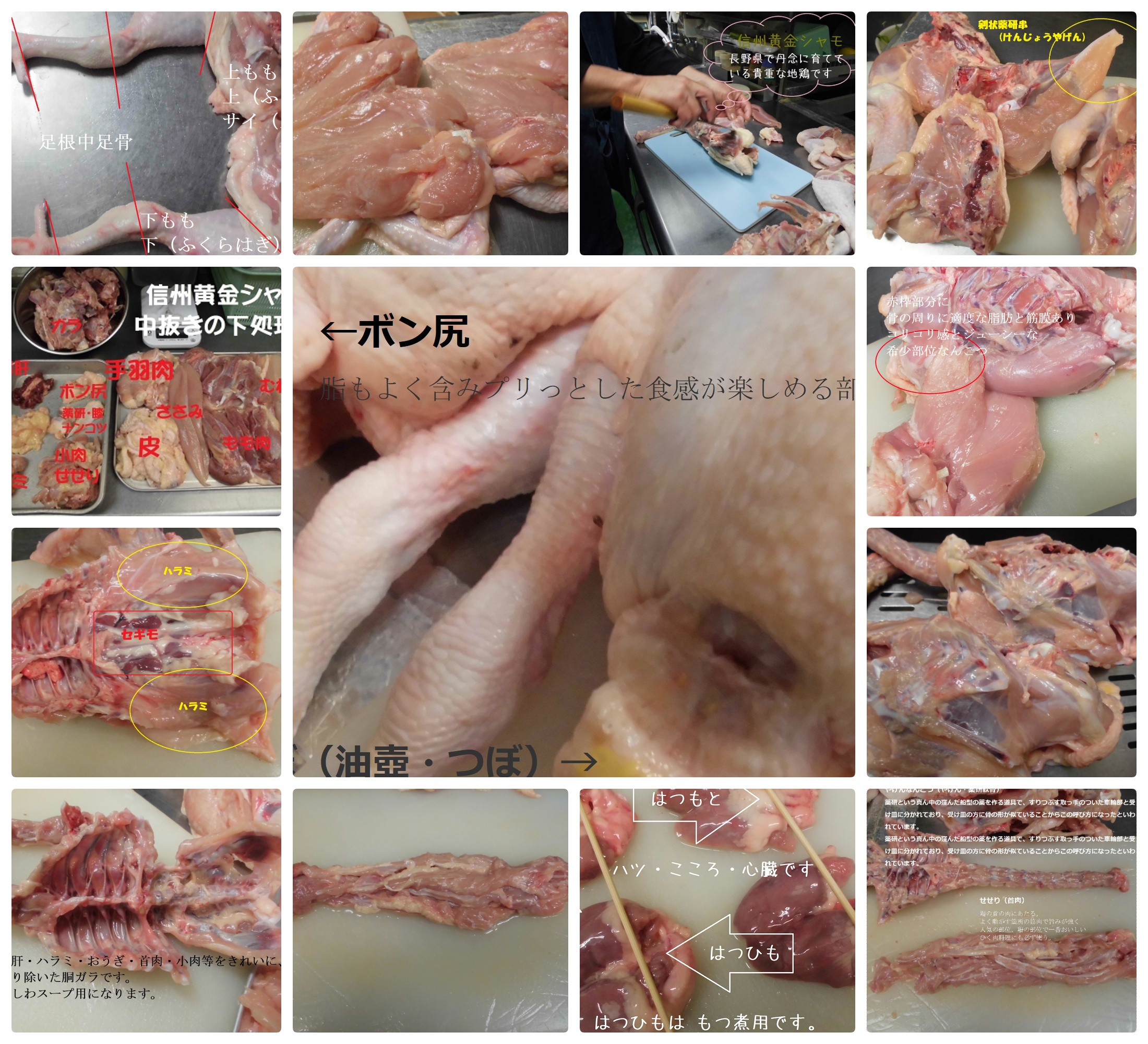 希少部位鶏肉 背肝