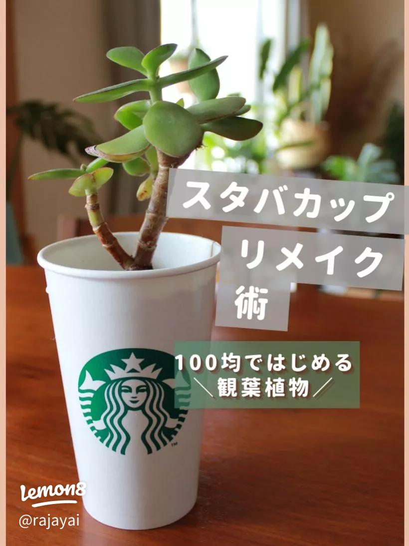 スタバでスリーブをつけてくれないときの頼み方！リメイク活用術4選＆革グッズの紹介イチオシichioshi