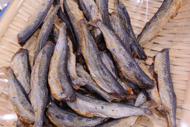 トビウオの刺身 島根県うちの郷土料理：農林水産省