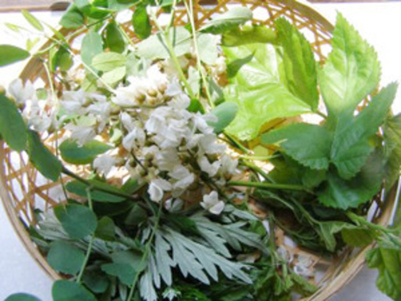 アカシアの花→天ぷらりょうちんのブログ - 楽天ブログ