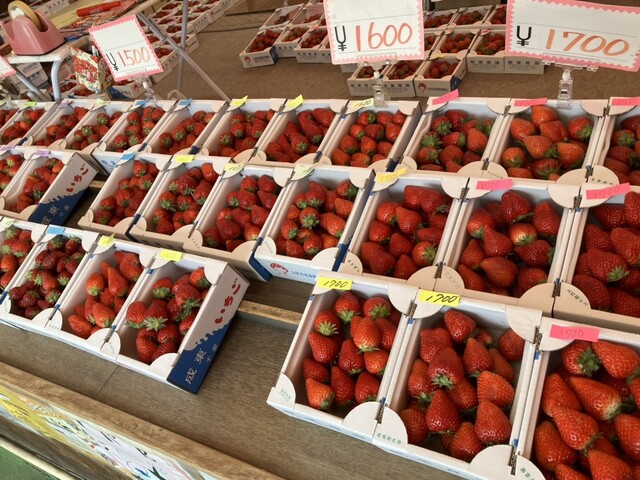 美味しい！いちご食べたくないですか？武蔵小山 清水湯